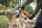 STIHL MS 162 - Benzine Kettingzaag - 30 cm Zaagblad - 2-Takt Motor