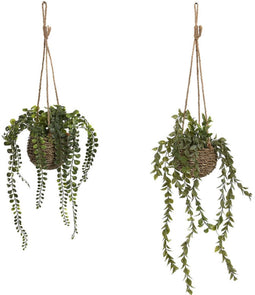 Decoratieve plant Home ESPRIT Polyethyleen Vezel 16 x 16 x 70 cm (2 Stuks)