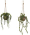 Decoratieve plant Home ESPRIT Polyethyleen Vezel 16 x 16 x 70 cm (2 Stuks)