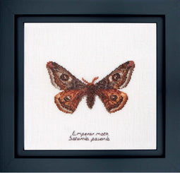 Thea Gouverneur - Borduurpakket met telpatroon - 562 - Voorgesorteerde DMC Garens - Keizer Nachtvlinder - Linnen - 21 cm x 21 cm - DIY Kit