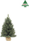Triumph Tree Kunstkerstboom Forest frosted - 61x61x90 cm - hardnaald - Besneeuwd,Blauw