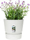 Elho Greenville Rond 25 - Bloempot voor Buiten met Waterreservoir - 100% Gerecycled Plastic - Ø 24.5 x H 23.3 cm - Wit