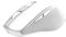 Trust Nito - Draadloze muis - Stille muis 2200 DPI - Wit