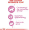 Royal Canin Kitten - Katten Brokjes - 2 kg