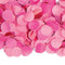 Folat - Confetti Roze (1kg)