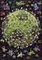 Football - Legpuzzel - 1000 Stukjes