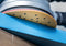 Bosch Expert C470 - Schuurschijven - Geperforeerd Ø 125 mm G 180 - (50 stuks)