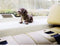 Formula 563017 Knikkende hond (l x b) 17 cm x 8 cm Bruin