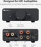 Fosi Audio V3 Stereo Versterker - 300Wx2 Vermogen - TPA3255 Klasse D