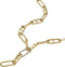 Fossil JF04583710 Dames Ketting - Goudkleurig