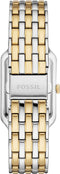Fossil RAQUEL ES5305 Dames Horloge 26 mm - Multi