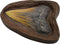 Fossils Paleo Lab