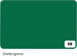 Fotokarton Folia 2zijdig 50x70cm 300gr nr58 donkergroen | 10 stuks