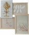 Fotolijsten DKD Home Decor 31 x 2,4 x 34 cm Kristal Natuurlijk Shabby Chic