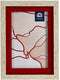 Fotolijsten Kristal Rood Hout Bruin Plastic (13,5 x 18,8 x 2 cm) (6 Stuks)