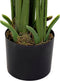 Decoratieve plant DKD Home Decor Palmen Groen PE (50 x 50 x 180 cm)