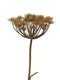 Heracleum grey/brown 98 cm kunstbloem