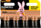 Duracell Plus 100 - AA Alkalinebatterijen - Tot 100% langer mee - Multi-color