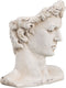 Beeld David 28 x 22 x 33 cm Hars