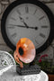 Akoestische Smartphone Versterker - Rose Gold