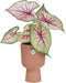 Elho Vibes Fold Coupe 14 - Bloempot voor Binnen - 100% Gerecycled Plastic - Ø 13.9 x H 21.0 cm - Delicaat roze