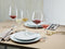 Schott Zwiesel Taste Rode wijnglas - 0.497 l - 6 stuks