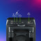 NGS Wild Rave 2 Portable Bluetooth Party Speaker - TWS - 300W / 12V / 3,26 Bat - USB / Aux In