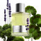 TOM FORD Signature Beau De Jour Eau de Parfum Spray 50 ml