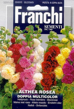 Franchi - Althea Rossa Doppia Multicolor - Stokroosmengsel 301/20