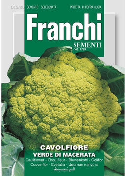 Franchi - Bloemkool, Cavolfiore Verde de Macerata 30/30
