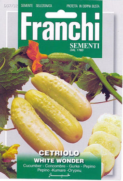 Franchi Cetriolo White Wonder - Komkommer Wit 37/32
