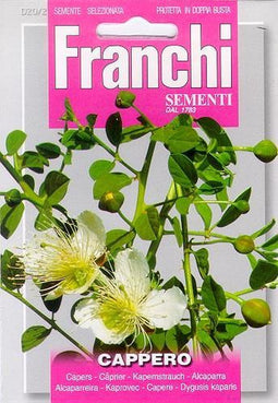 Franchi - Kappertjes