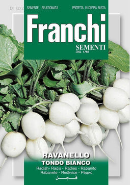 Franchi - Radijs, Ravanello Tondo Bianco 112/2