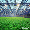 Frassor Universele Meststof (Bigbag 1000 kg – voor 10.000 m2) Insecten Frass