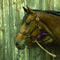 Majorica 17218.01.1.913.010.1 - Ring Dames - Metaal - Multicolor