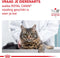 Royal Canin Gastro Intestinal - Kattenvoer Brokjes - 4 kg