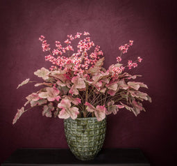 PTMD Leaves Plant Heuchera Kunstplant - 60 x 46 x 84 cm - Paars