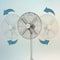 Freestanding Fan Cecotec EnergySilence 610 Steelstyle