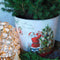Fresh from Nature - Kleine Kerstboom in Kerstmis pot - echte Kerstboom - ca. 70 cm hoogte - Picea glauca Conica - Kerstmis