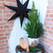 Fresh from Nature - Kleine Kerstboom in Kerstmis pot - echte Kerstboom - ca. 70 cm hoogte - Picea glauca Conica - Kerstmis