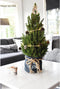 Fresh from Nature - Kleine Kerstboom in Kerstmis pot - echte Kerstboom - ca. 70 cm hoogte - Picea glauca Conica - Kerstmis