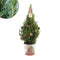 Fresh from Nature - Kleine Kerstboom in Kerstmis pot met verlichting 'Pinecone light' - echte kerstboom - ca. 70 cm hoogte - Picea glauca Conica - Kerstmis