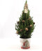 Fresh from Nature - Kleine Kerstboom in Kerstmis pot met verlichting 'Pinecone light' - echte kerstboom - ca. 70 cm hoogte - Picea glauca Conica - Kerstmis