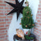 Fresh from Nature - Kleine Kerstboom in Kerstmis pot met verlichting 'Pinecone light' - echte kerstboom - ca. 70 cm hoogte - Picea glauca Conica - Kerstmis