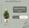 Fresh from Nature - Kleine Kerstboom in Kerstmis pot met verlichting 'Starlight' - echte kerstboom - ca. 70 cm hoogte - Picea glauca Conica - Kerstmis