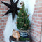 Fresh from Nature - Kleine Kerstboom in Xmas bag blauw met verlichting 'Starlight' - echte kerstboom - ca. 70 cm hoogte - Picea glauca Conica - Kerstmis