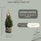 Fresh from Nature - Kleine Kerstboom in Xmas bag blauw met verlichting 'Starlight' - echte kerstboom - ca. 70 cm hoogte - Picea glauca Conica - Kerstmis