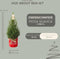 Fresh from Nature - Kleine Kerstboom in Xmas Bag Rood - echte kerstboom - ca. 70 cm hoogte - Picea glauca Conica - Kerstmis