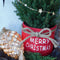 Fresh from Nature - Kleine Kerstboom in Xmas bag rood met verlichting 'Starlight' - echte kerstboom - ca. 70 cm hoogte - Picea glauca Conica - Kerstmis
