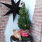 Fresh from Nature - Kleine Kerstboom in Xmas bag rood met verlichting 'Pinecone light' - echte kerstboom - ca. 70 cm hoogte - Picea glauca Conica - Kerstmis